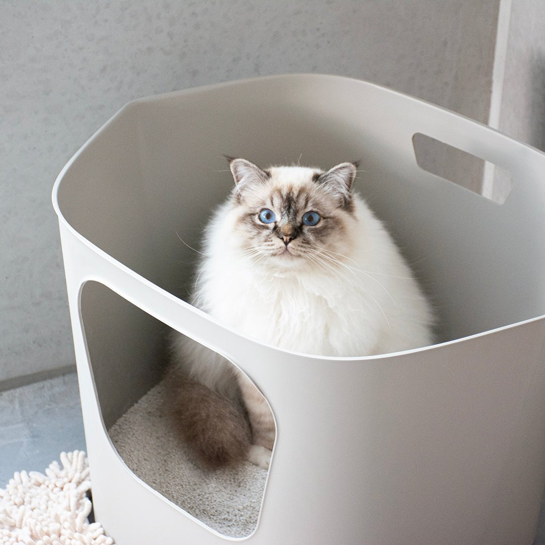 DEAN - Kattenbak Kattenbak D&D Home - I LOVE Happy Cats