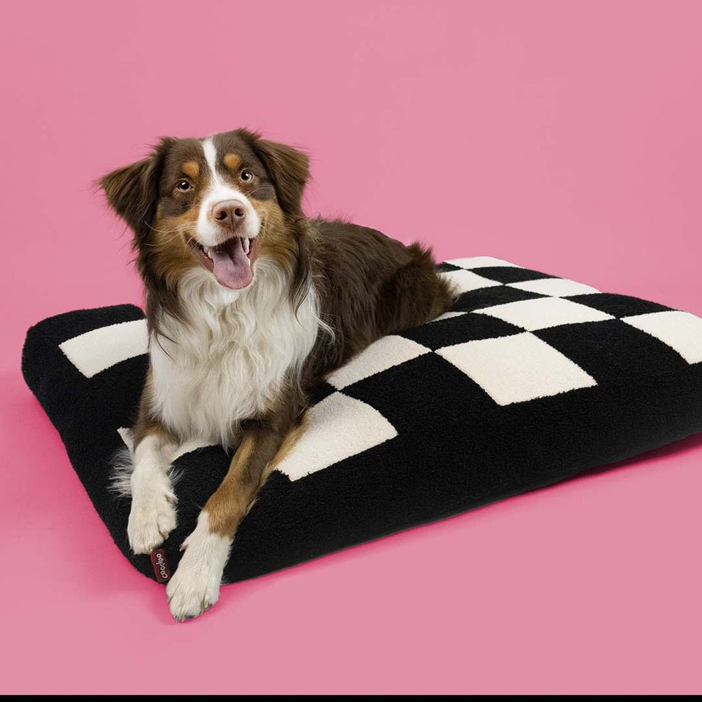 Hondenkussen COZY BLOCK Kussens Coockoo