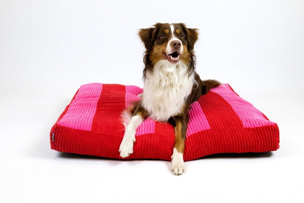 Hondenkussen COZY STRIPE Kussens Coockoo