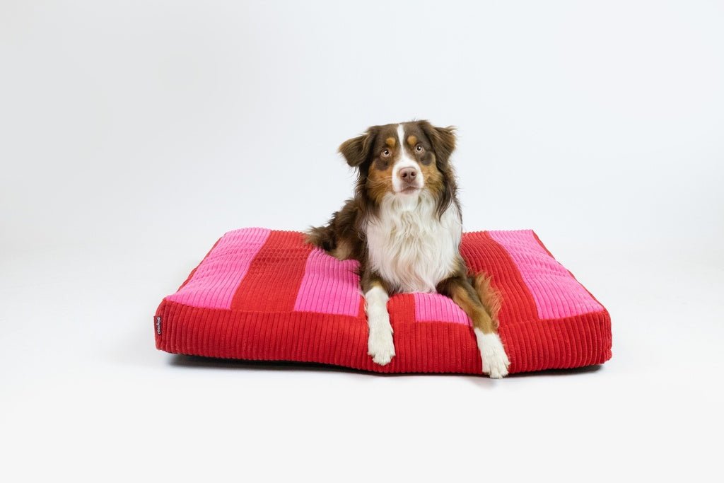 Hondenkussen COZY STRIPE Kussens Coockoo