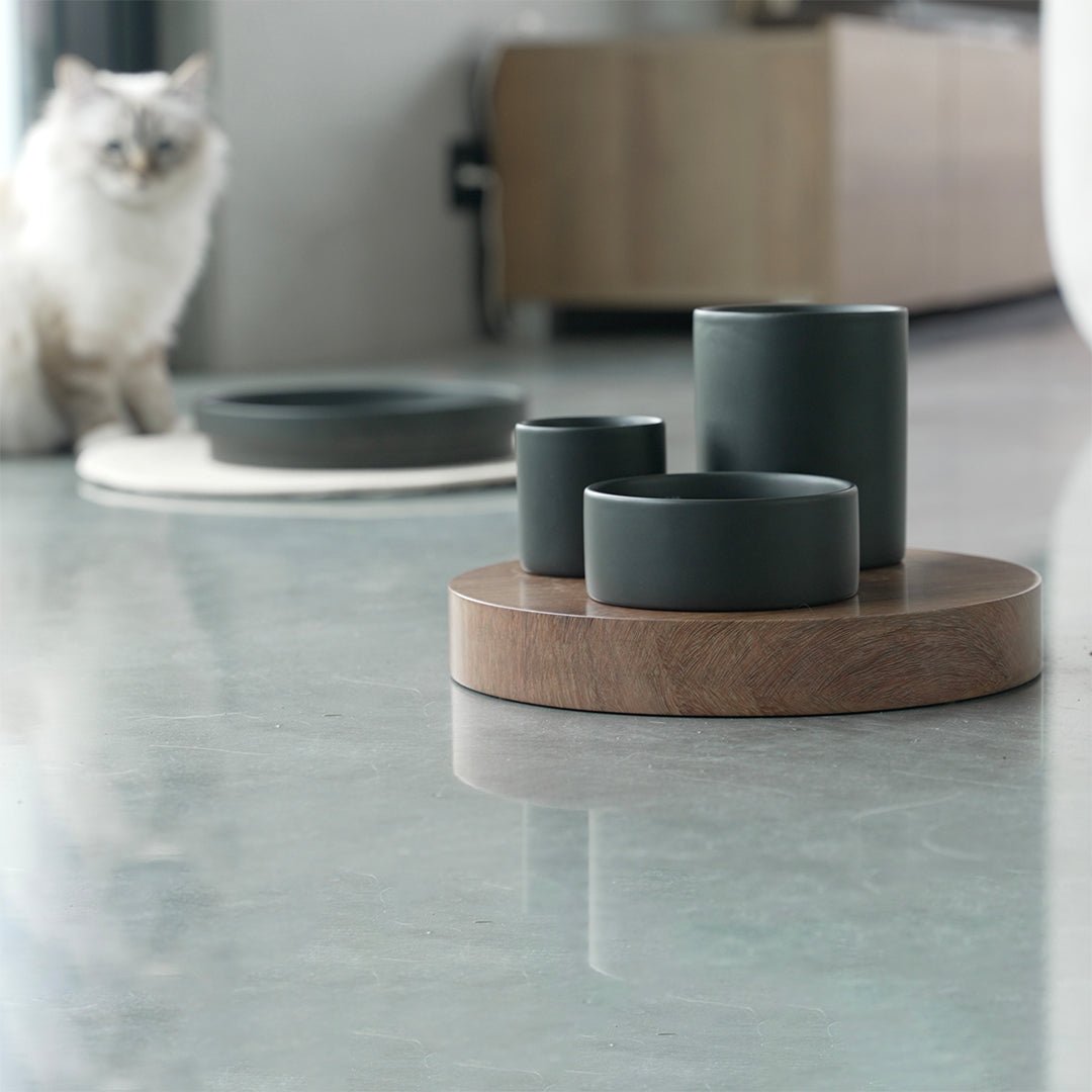 IGGY - Verrijkingskom Kommen & schaaltjes D&D Home - I LOVE Happy Cats