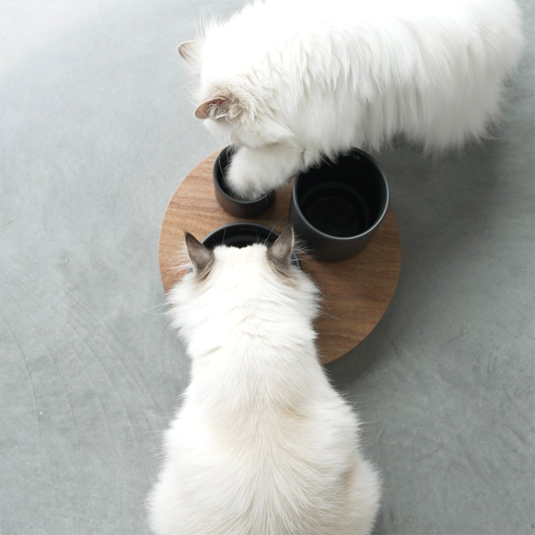 IGGY - Verrijkingskom Kommen & schaaltjes D&D Home - I LOVE Happy Cats