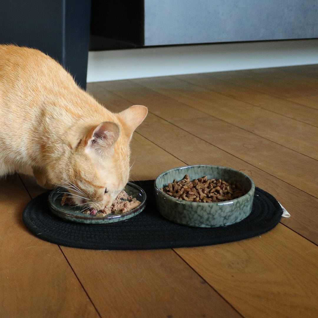 Jasper kom kat Kommen & schaaltjes D&D Home