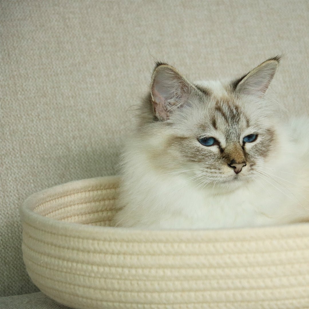 Jess kattenmand Kattenmanden D&D Home - I LOVE Happy Cats