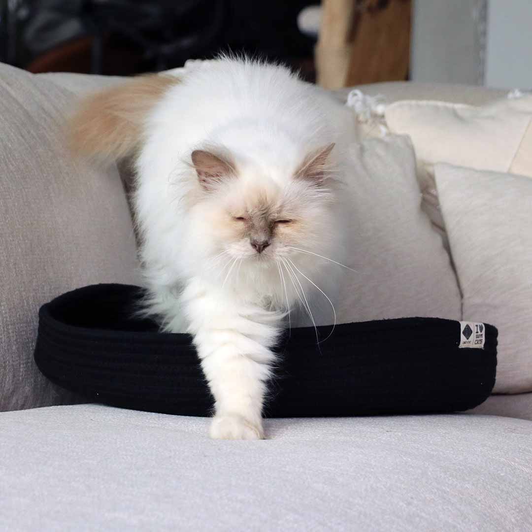 Jess kattenmand Kattenmanden D&D Home - I LOVE Happy Cats