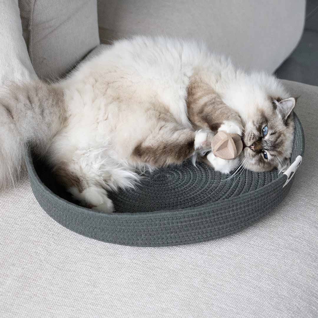 Jess kattenmand Kattenmanden D&D Home - I LOVE Happy Cats