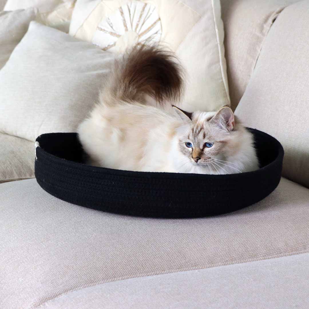 Jess kattenmand Kattenmanden D&D Home - I LOVE Happy Cats