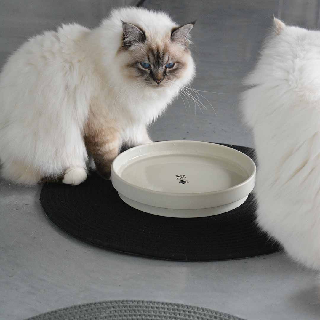 JILL - Placemat Placemats D&D Home - I LOVE Happy Cats