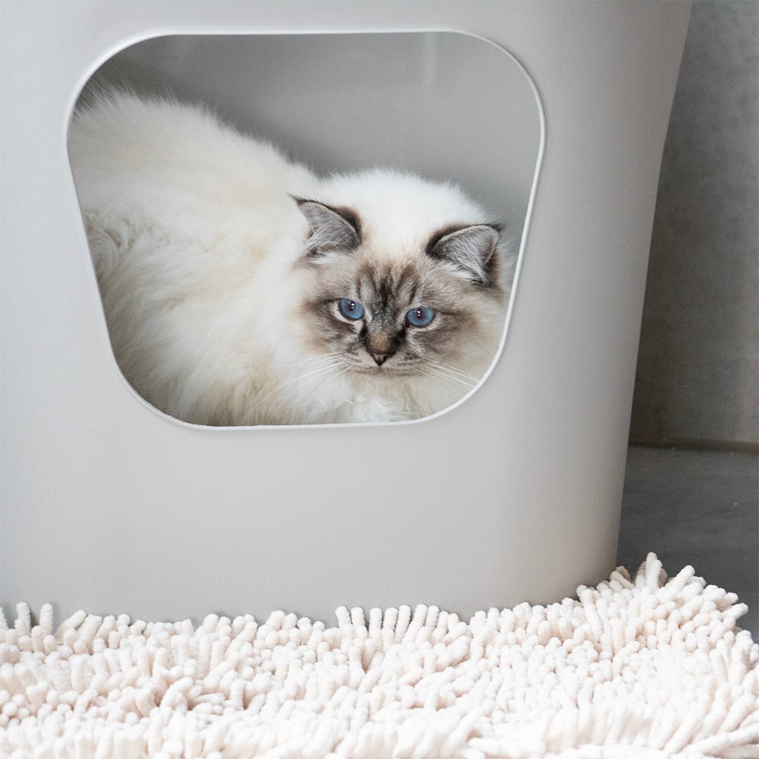 Kattenbakset Dean Kattenbak D&D Home - I LOVE Happy Cats