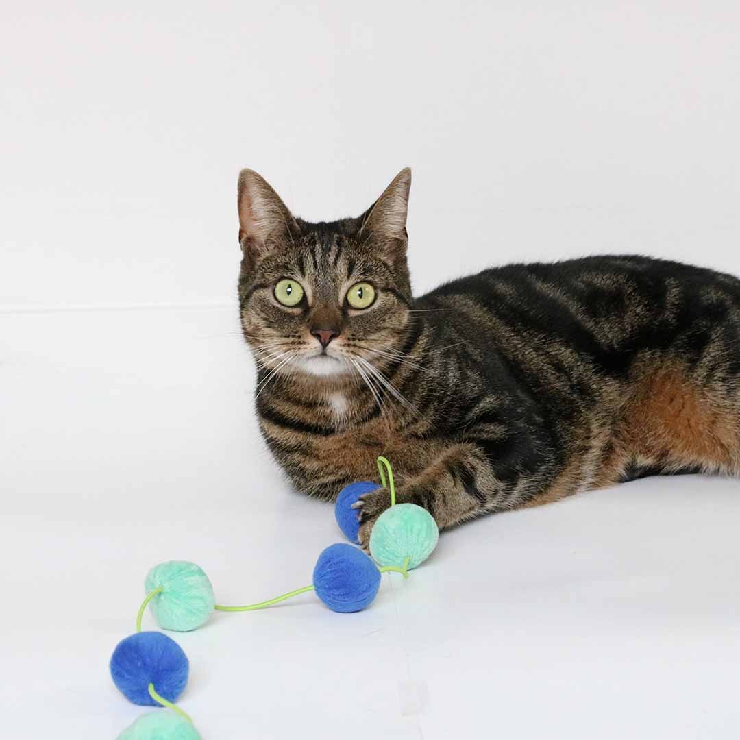 Kattenspeelgoed Kattenhengel JOLLY JUMPER