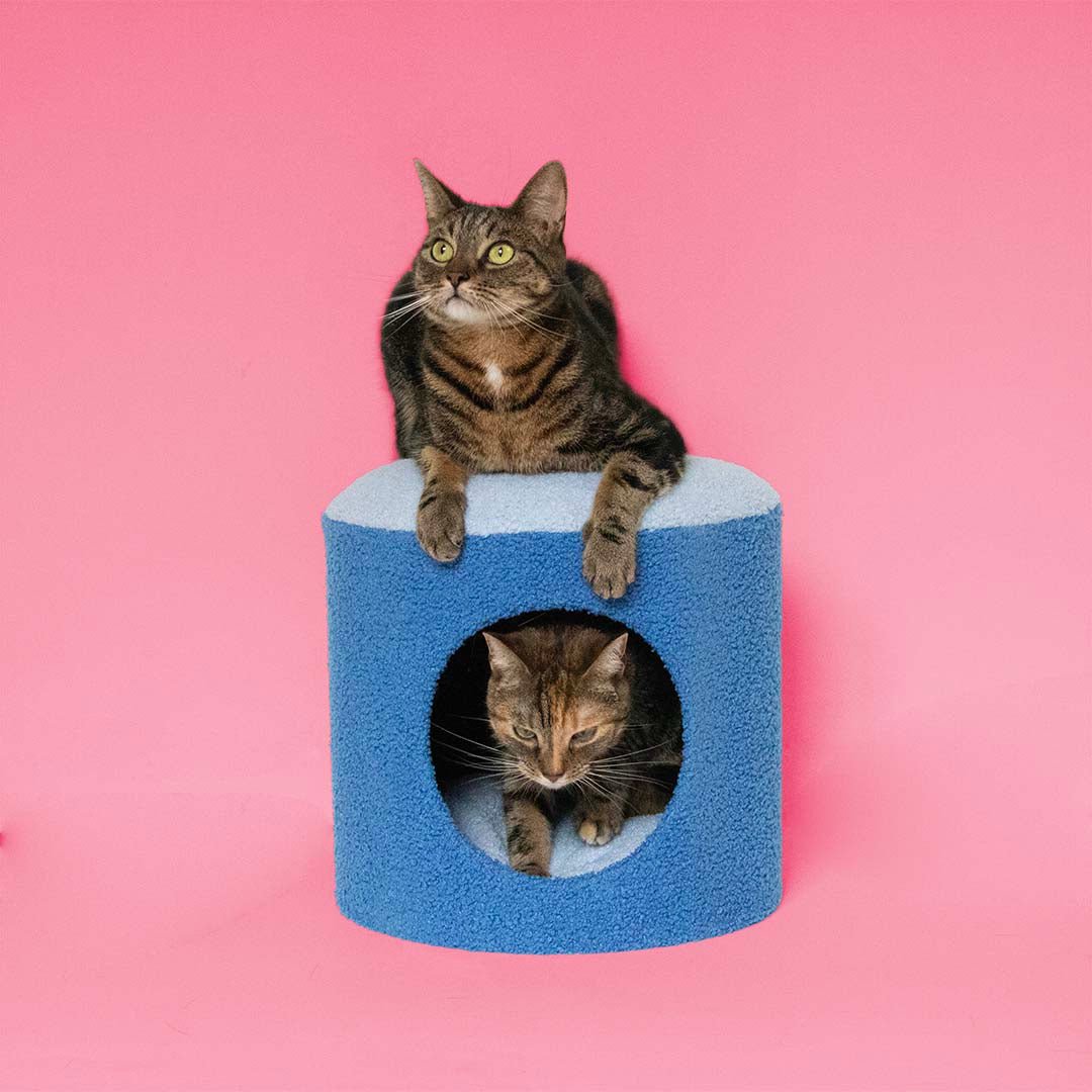 Kattenhuisje HAPPY HOUSE Kattenhuisjes Coockoo