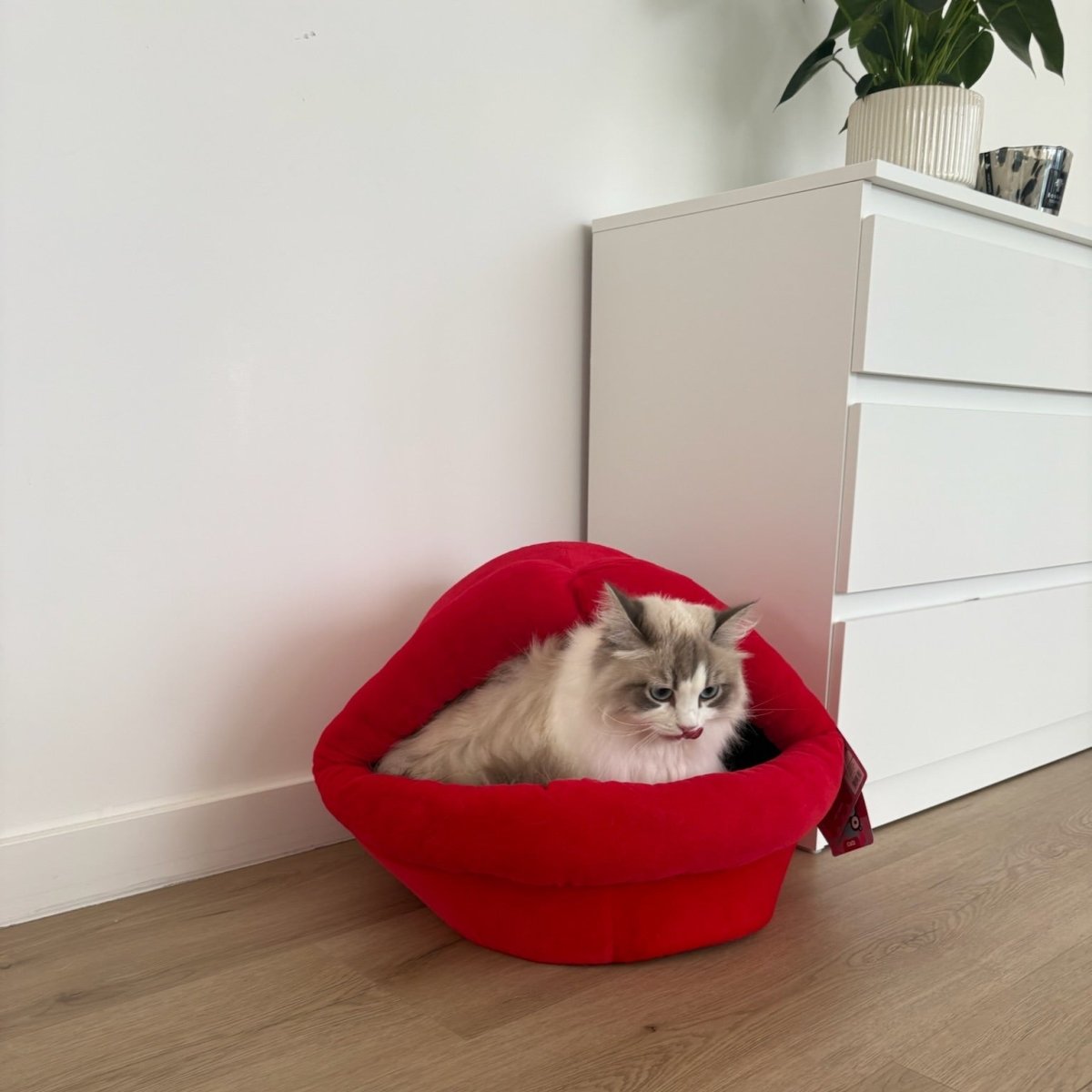 Kattenhuisje Meow mond Kattenhuisjes Coockoo