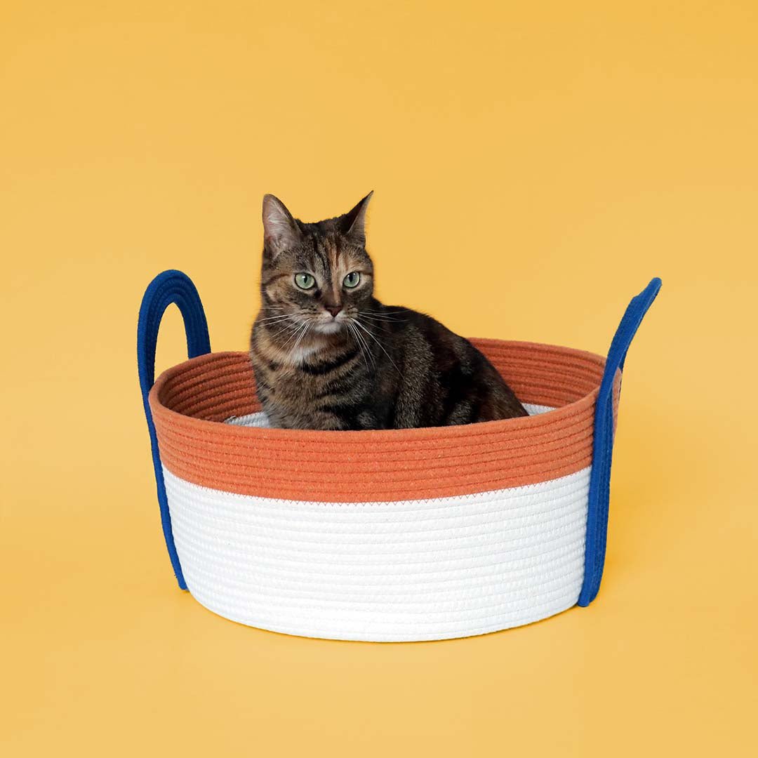 Kattenmand Binge Kattenmanden Coockoo