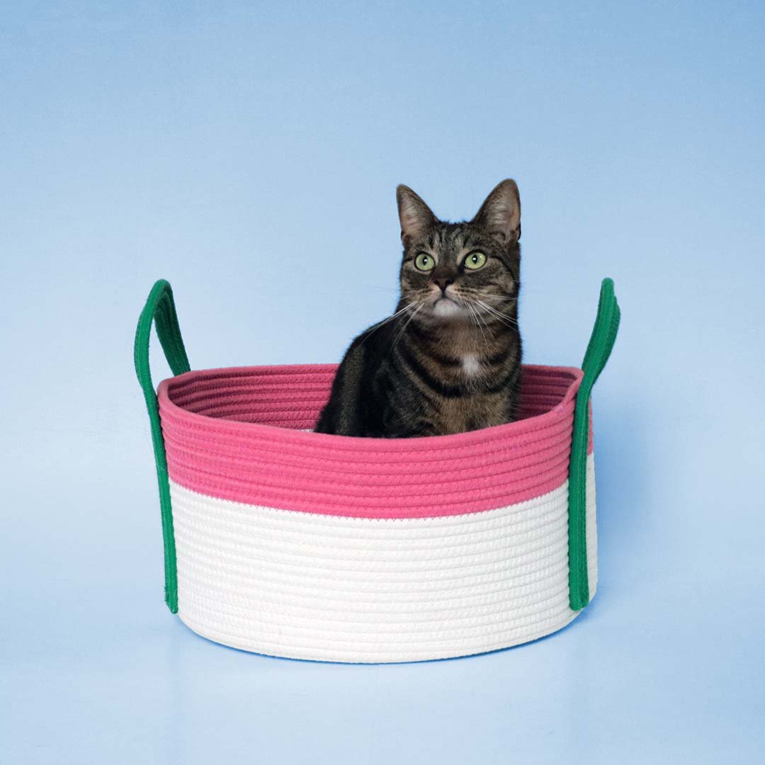 Kattenmand Binge Kattenmanden Coockoo
