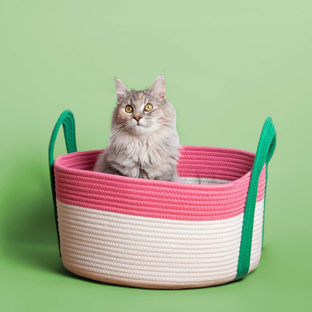 Kattenmand Binge Kattenmanden Coockoo