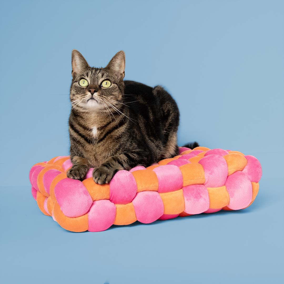 Kussen Velvet Vibe Kattenmanden Coockoo