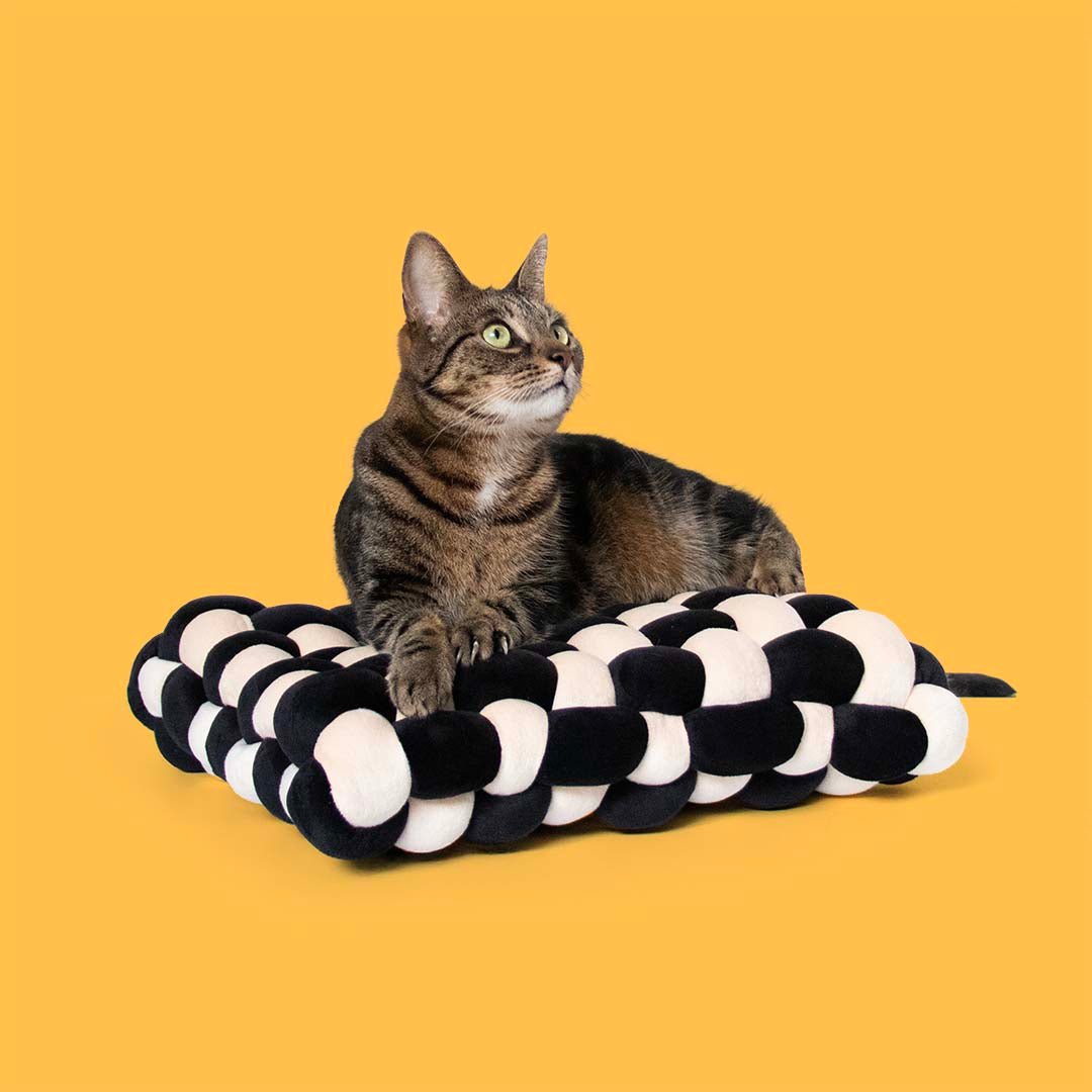 Kussen Velvet Vibe Kattenmanden Coockoo