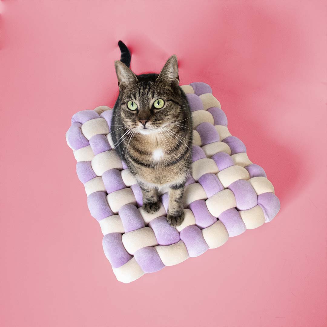 Kussen Velvet Vibe Kattenmanden Coockoo