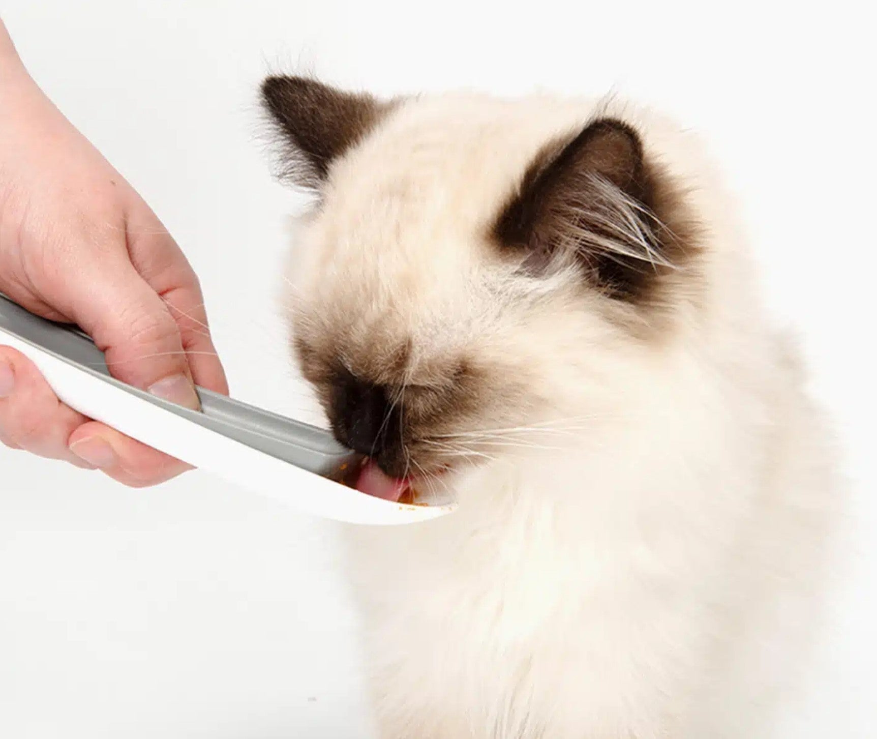 Liksnack lepel Accessoires Cat it