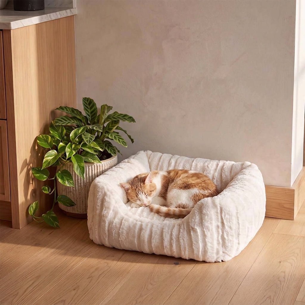 Mand Velvet bark Hondenmanden duvoplus