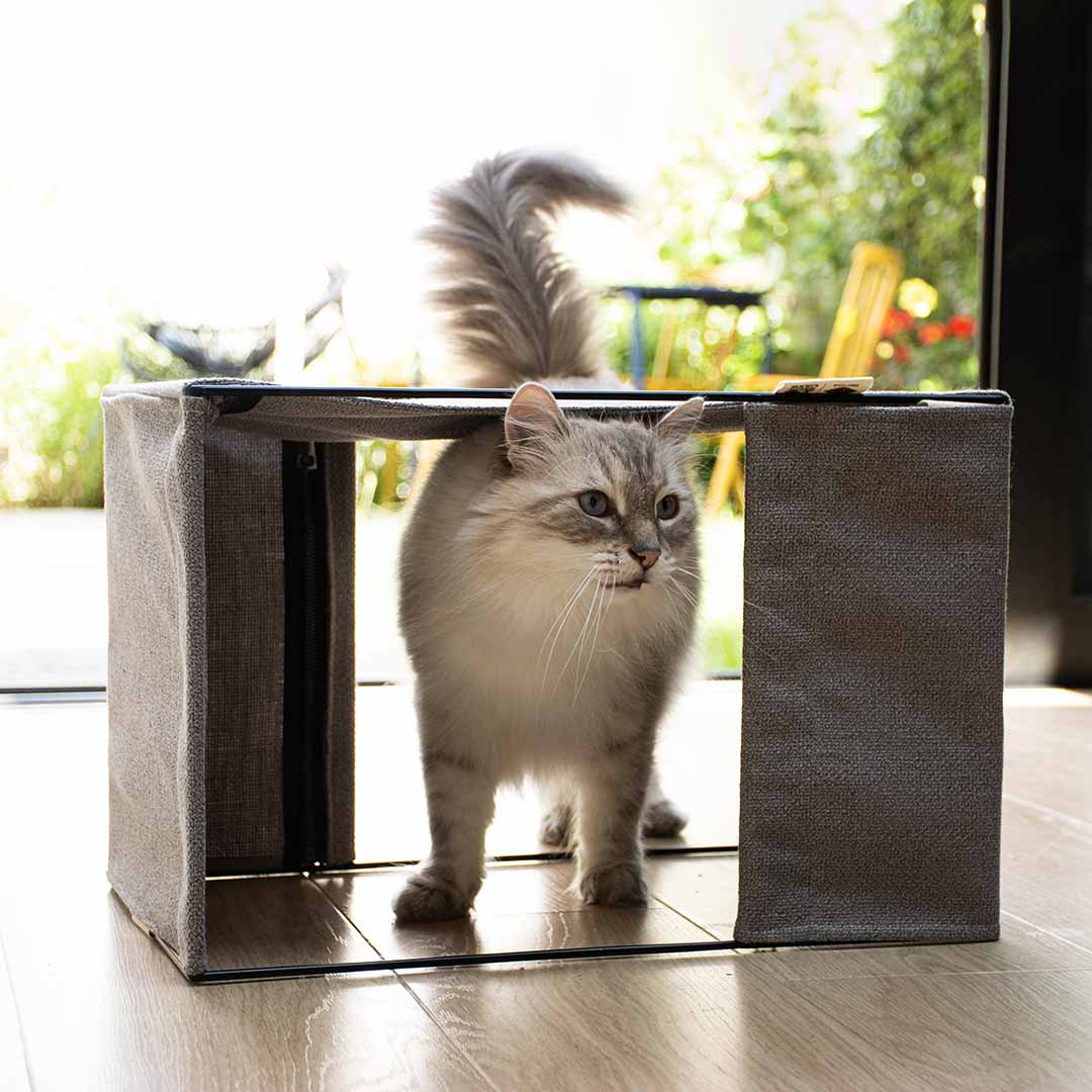 ODILLIA - multifunctionele hangmat Kattenmanden D&D Home - I LOVE Happy Cats