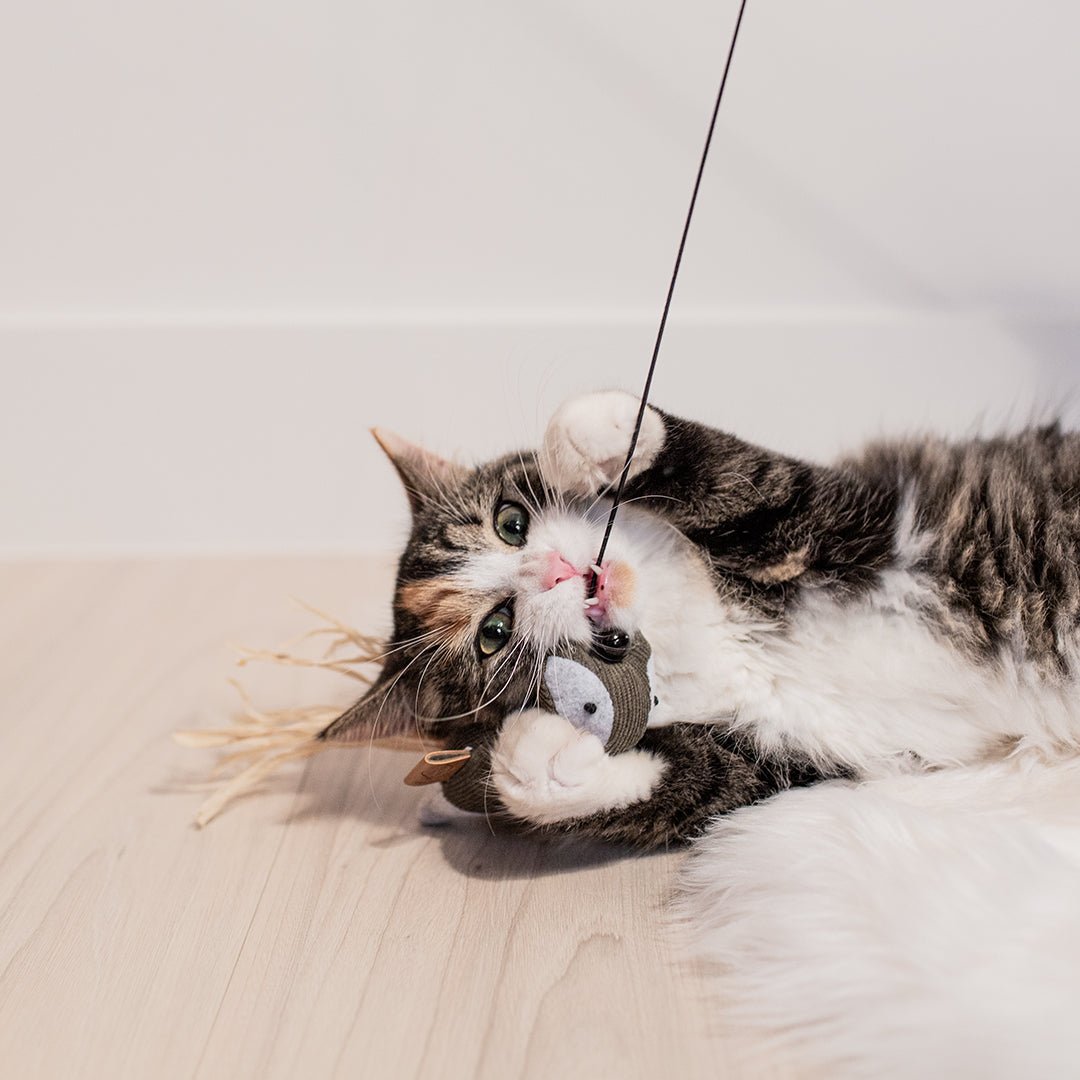 Rocco speelhengel Vosjes Kattenspeelgoed D&D Home