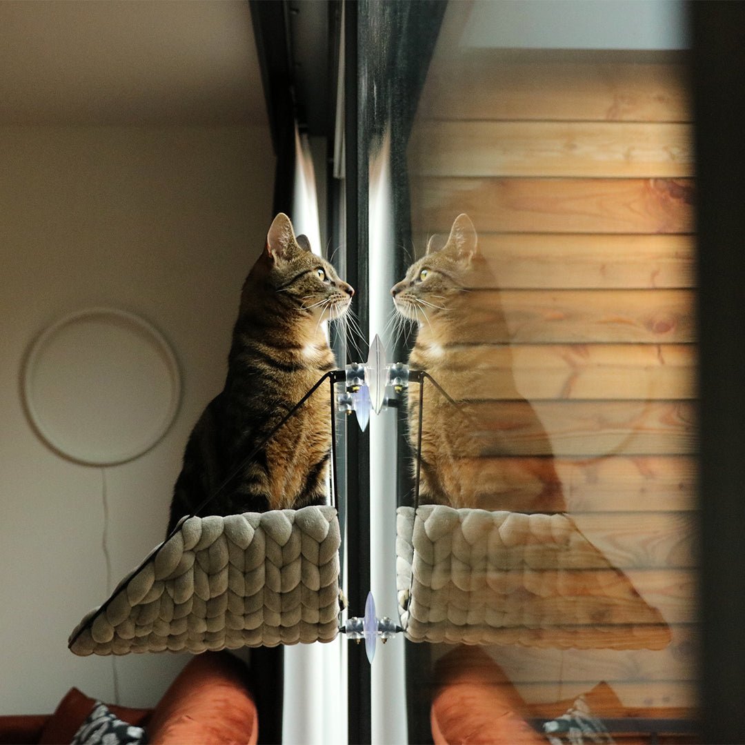 Sofia vensterbed Kattenmanden D&D Home