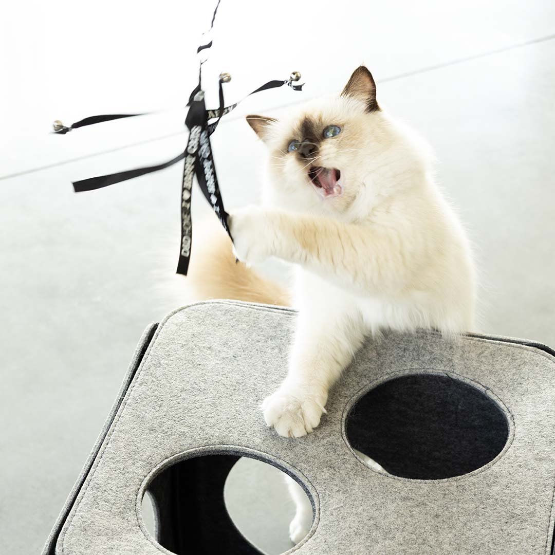 Speelhengel CLAIRE Kattenspeelgoed D&D Home - I LOVE Happy Cats