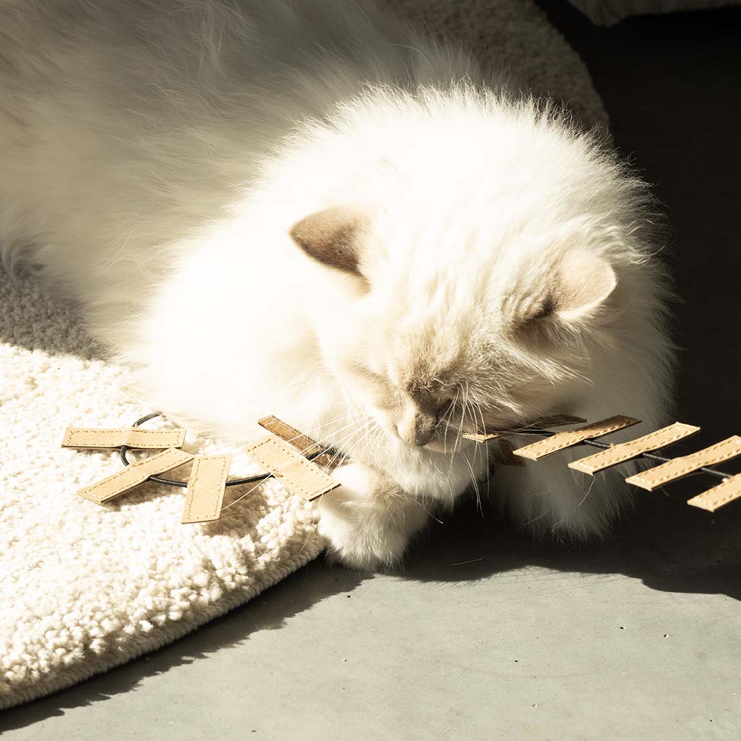 Speelhengel COOPER Kattenspeelgoed D&D Home - I LOVE Happy Cats