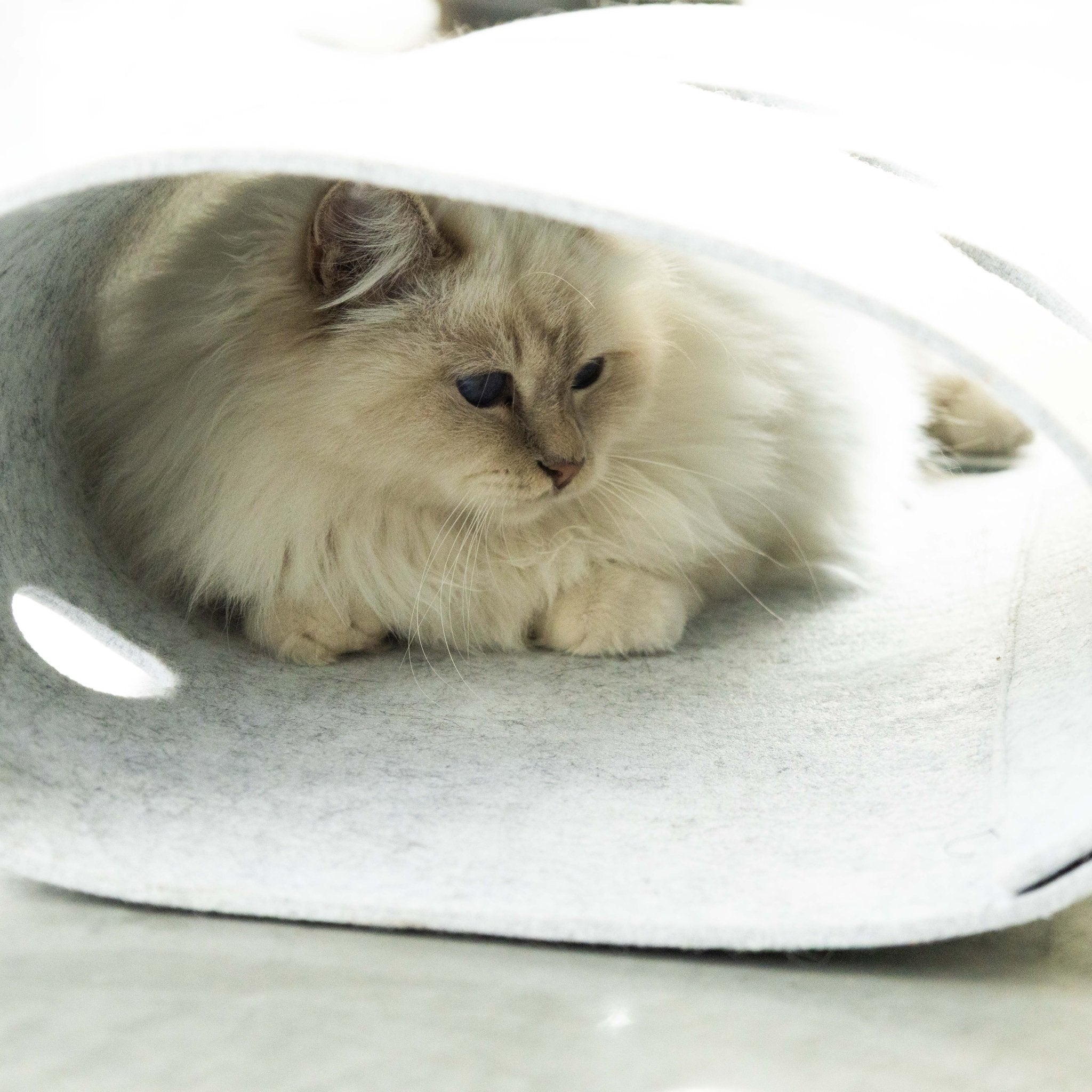Speeltunnel LANA Tunnel D&D Home - I LOVE Happy Cats