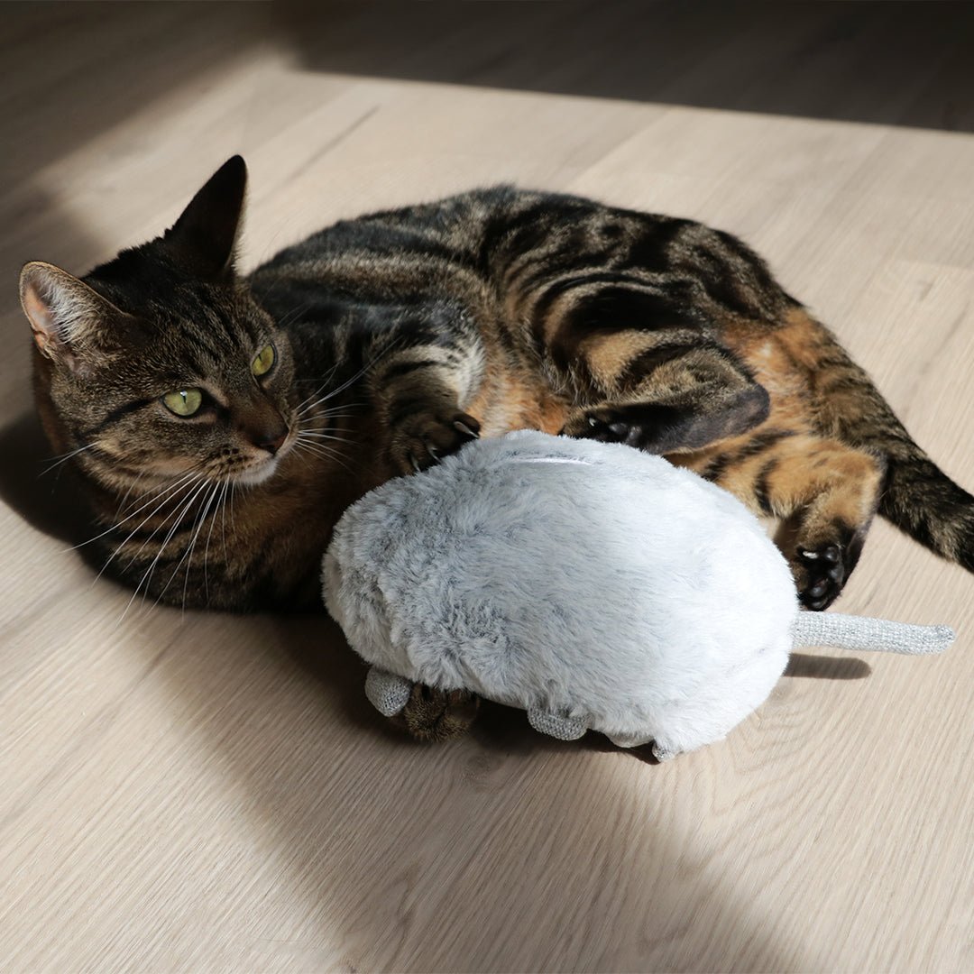 Trappelkussen Bowie Kattenspeelgoed D&D Home