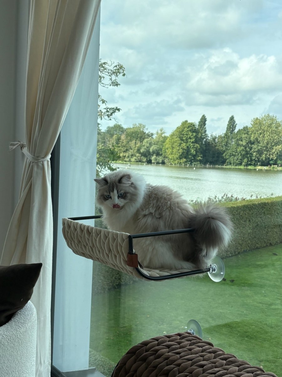 Vensterbed Blair Kattenmanden D&D Home