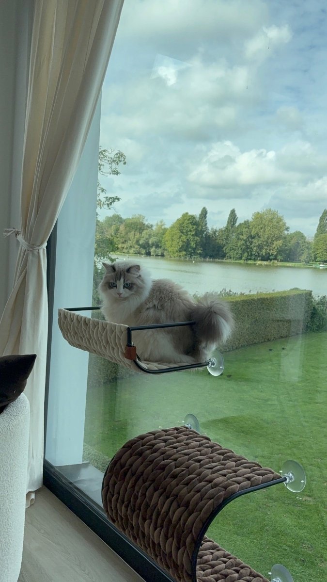 Vensterbed Blair Kattenmanden D&D Home