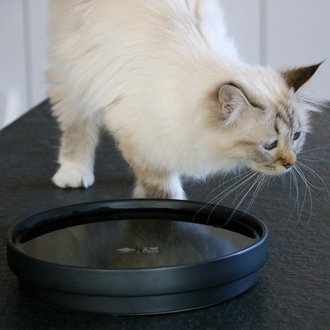 ACE - Drinkkom Kommen & schaaltjes D&D Home - I LOVE Happy Cats