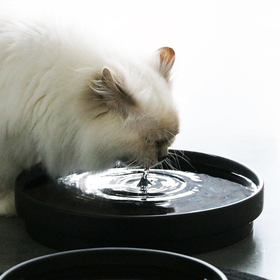 ACE - Drinkkom Kommen & schaaltjes D&D Home - I LOVE Happy Cats
