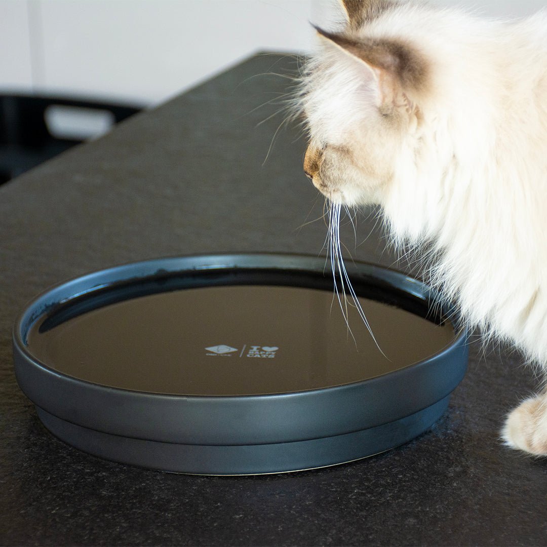 ACE - Drinkkom Kommen & schaaltjes D&D Home - I LOVE Happy Cats