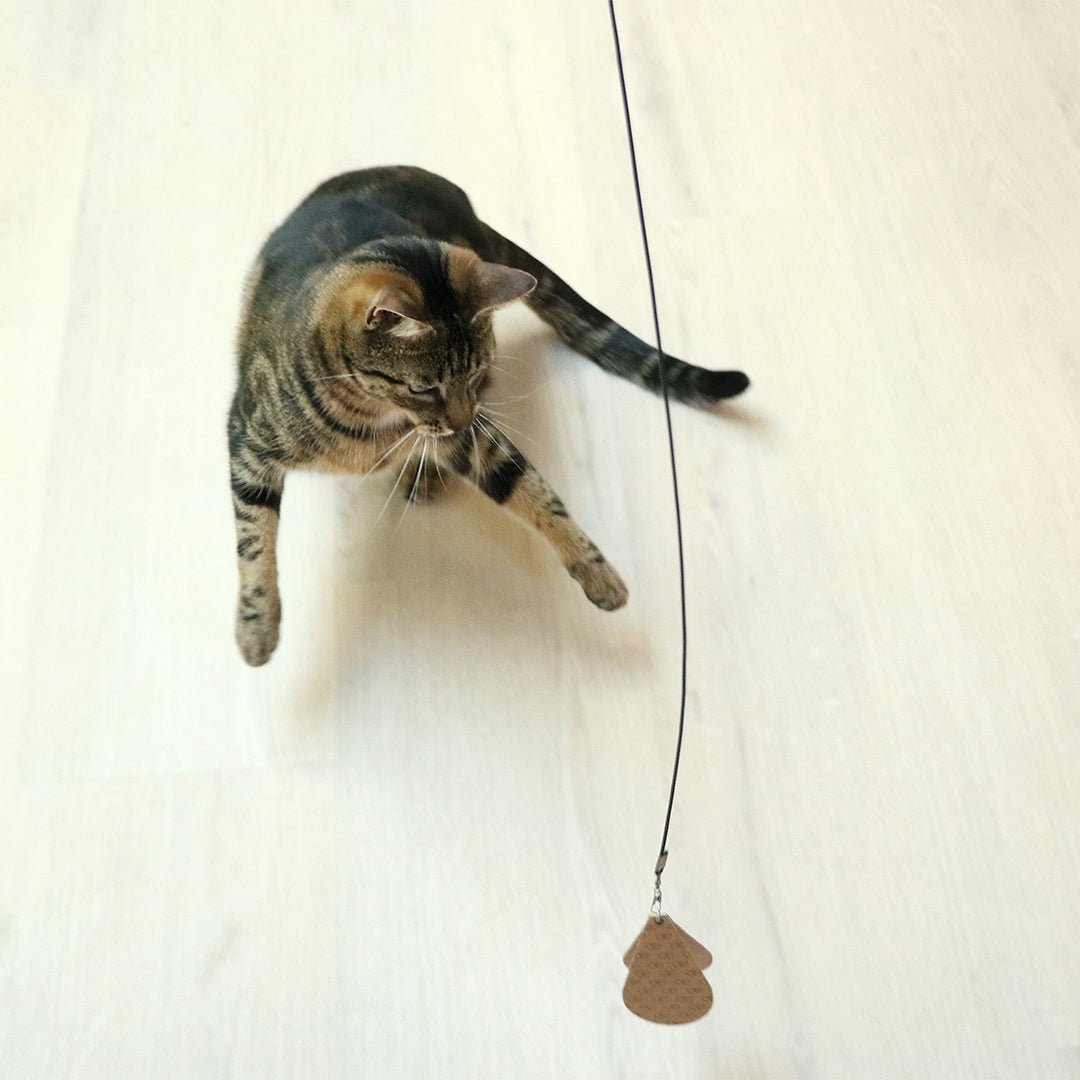 CONNOR - Navulset Kattenspeelgoed D&D Home - I LOVE Happy Cats