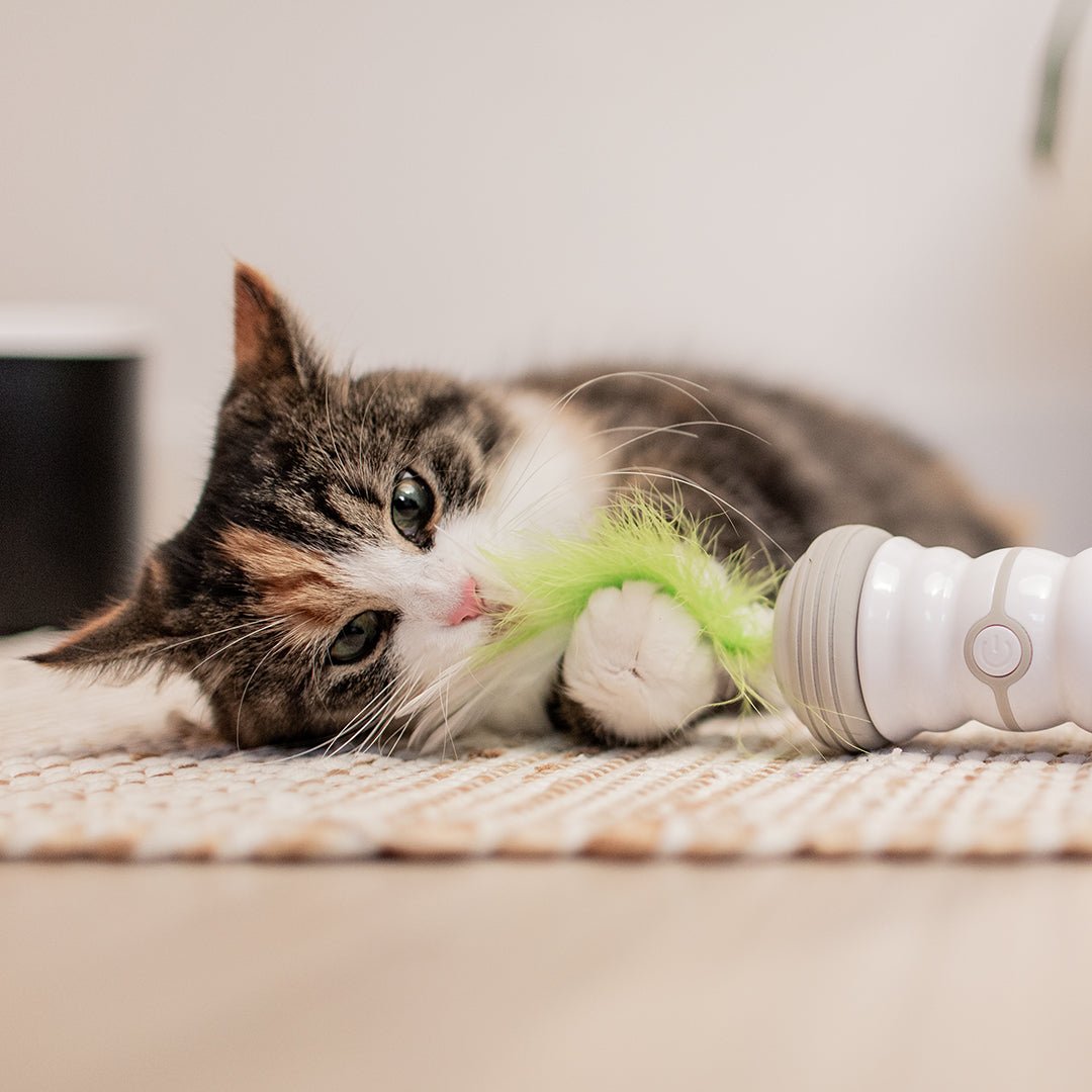 Double spinner kattenspeeltje Elektronische speeltjes Ebi