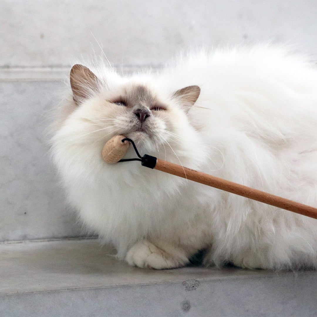 LOU - Socialisatieroller Vachtverzorging D&D Home - I LOVE Happy Cats