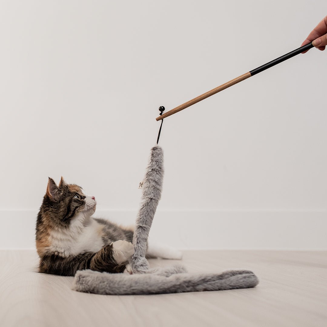 Lovi kattenhengel Kattenspeelgoed D&D Home