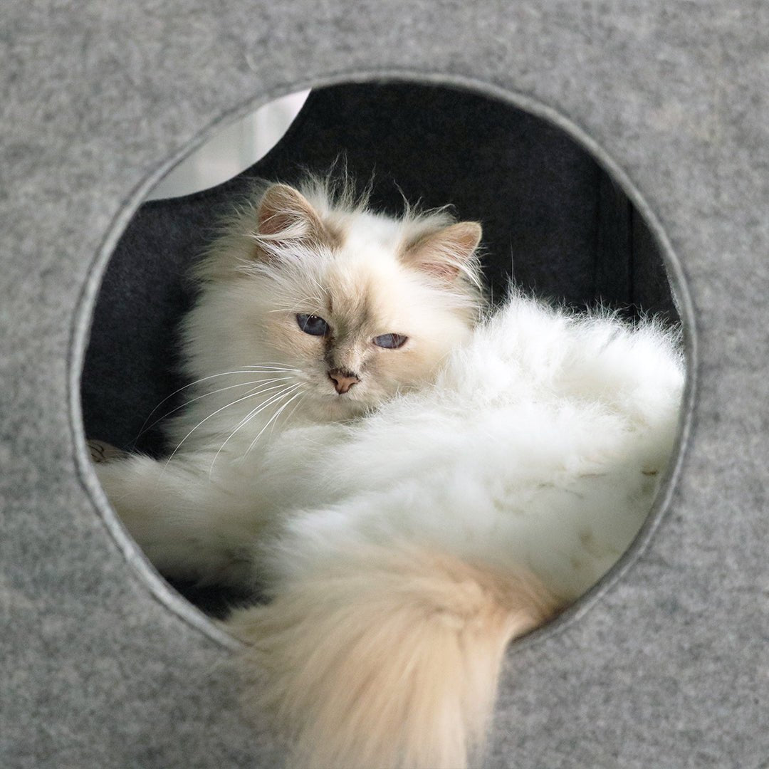 NALA - Speelkubus Kattenhuisjes D&D Home - I LOVE Happy Cats