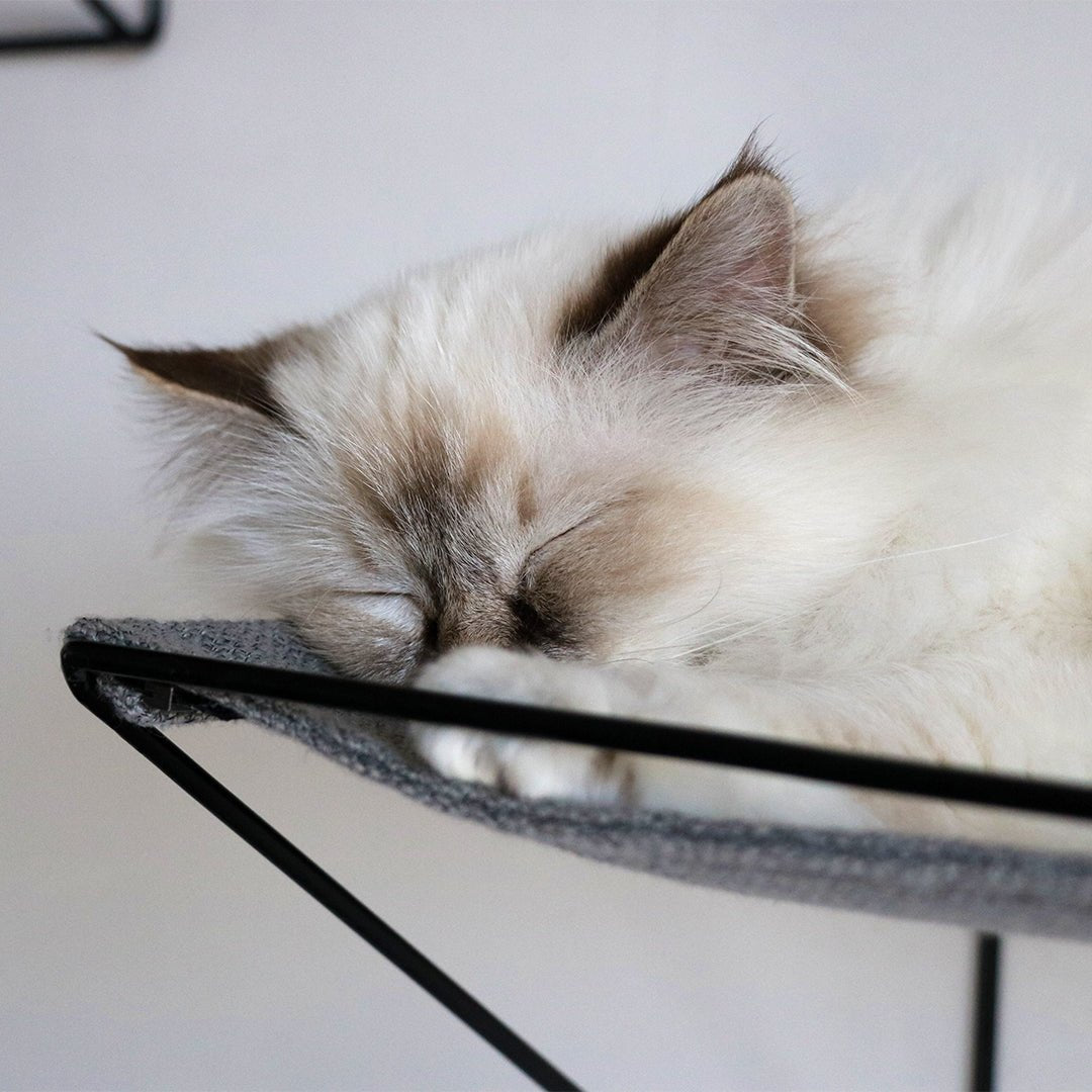 OLIVER - Bed - en radiatorhangmat Kattenmanden D&D Home - I LOVE Happy Cats