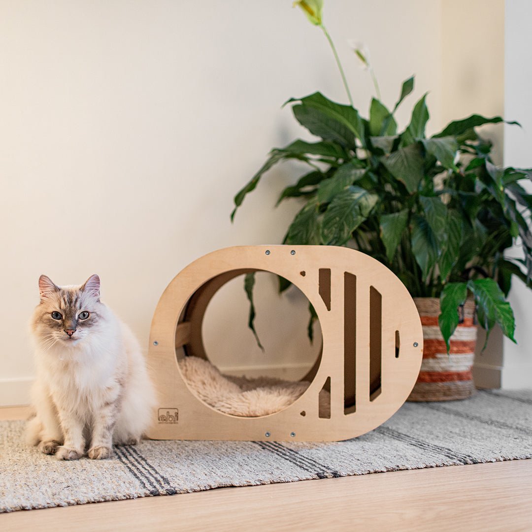 Tara kattenhuisje Kattenhuisjes Ebi