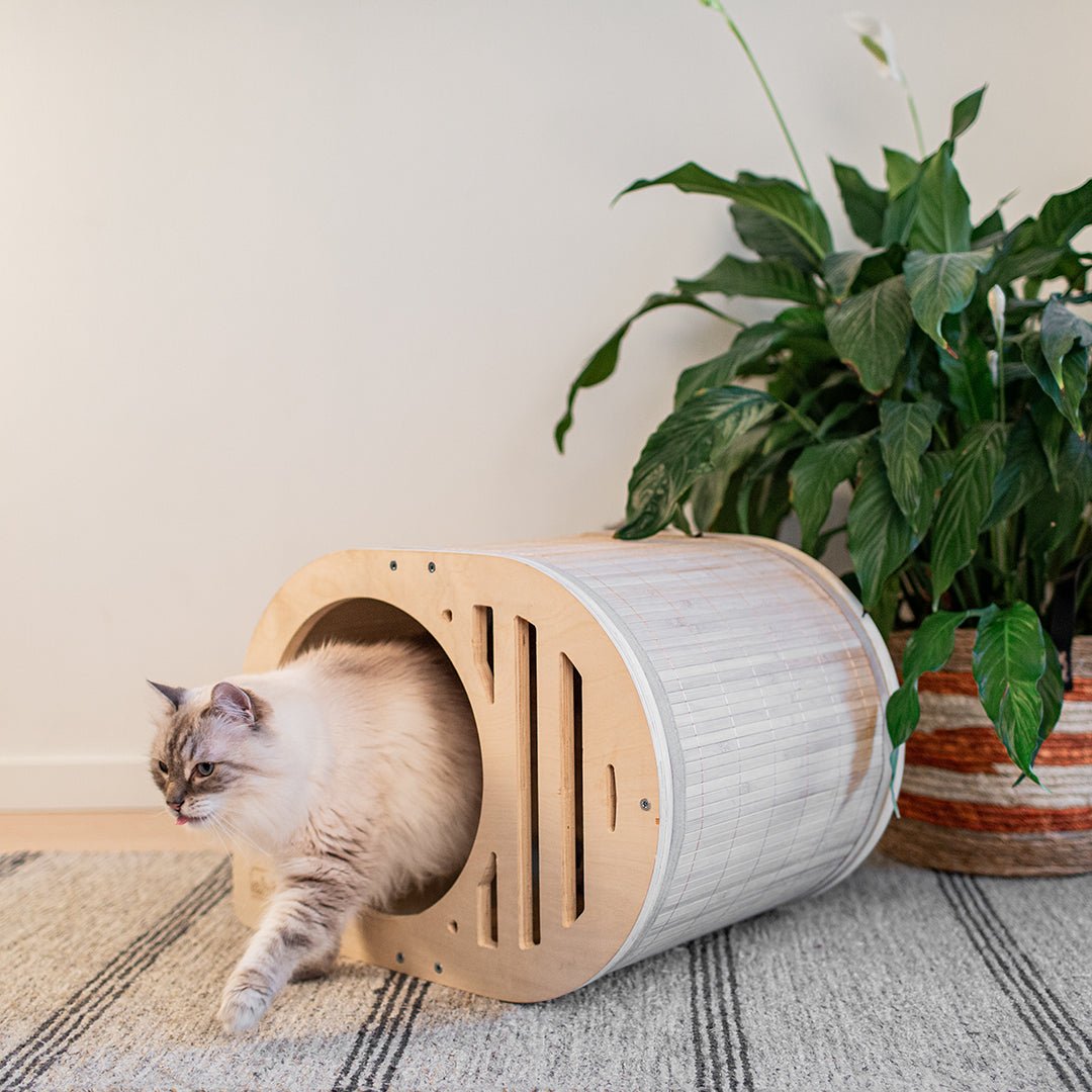 Tara kattenhuisje Kattenhuisjes Ebi