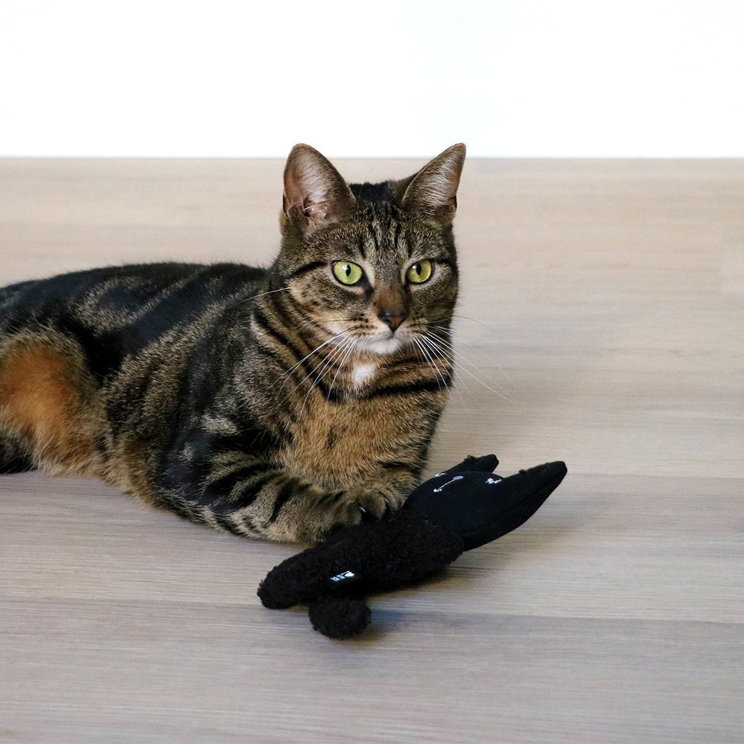 ZENO - Trappelkussen Kattenspeelgoed D&D Home - I LOVE Happy Cats