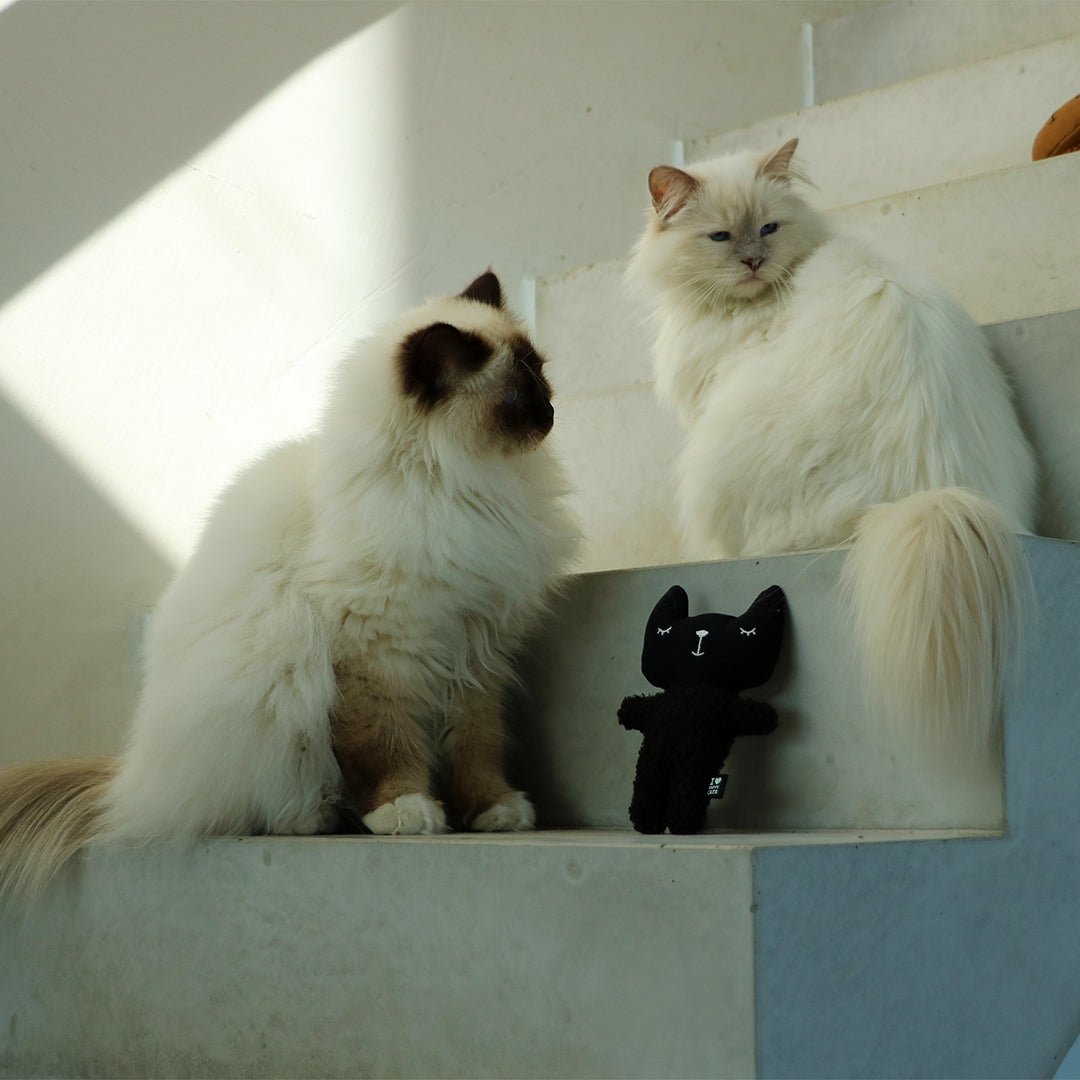 ZENO - Trappelkussen Kattenspeelgoed D&D Home - I LOVE Happy Cats
