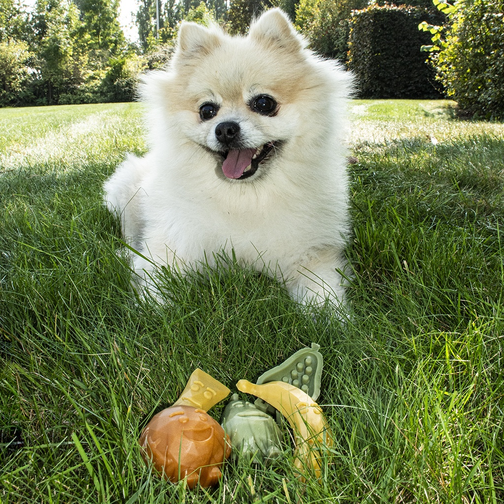 Garden Bites Fruity friends