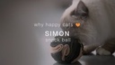 SIMON - snackbal