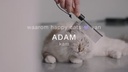 ADAM - Kam