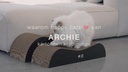 ARCHIE - Kartonnen krablounge beige